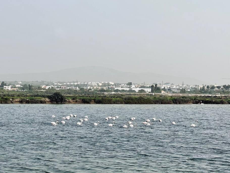 Olhao 3 Bedroom With Rooftop Pool, Marina Village Esterno foto